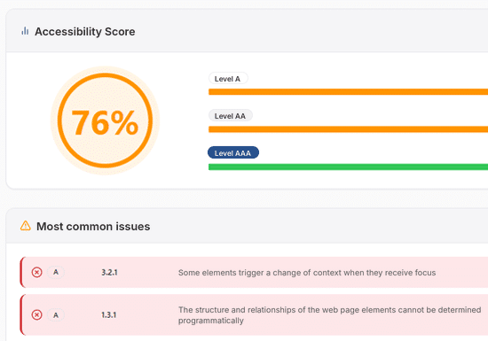 Preview of an Accessibility Statement audit